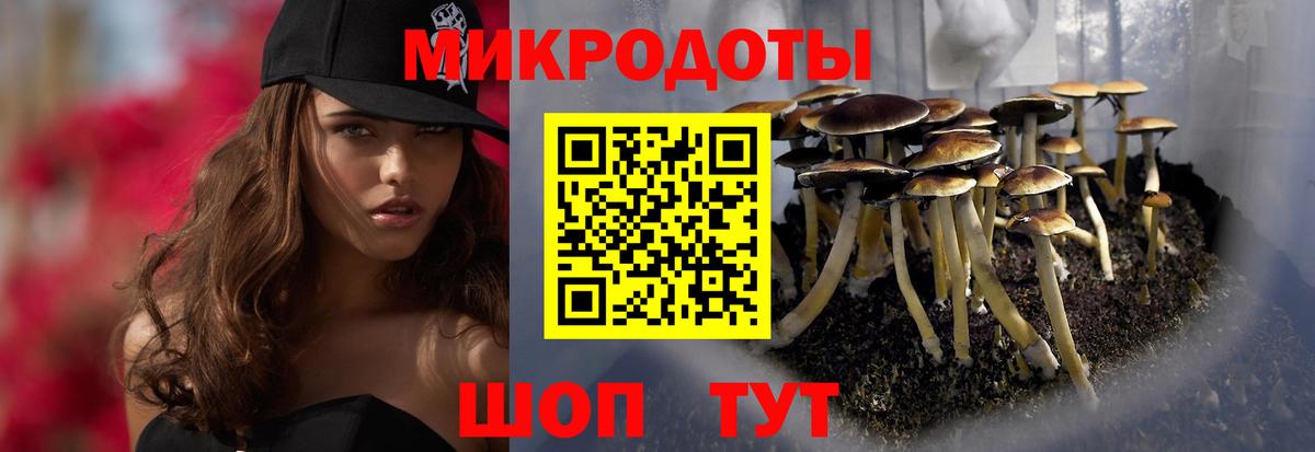 Галлюциногенные грибы Psilocybe  Вход с VPN  Галлюциногенные грибы Cubensis  Торжок 